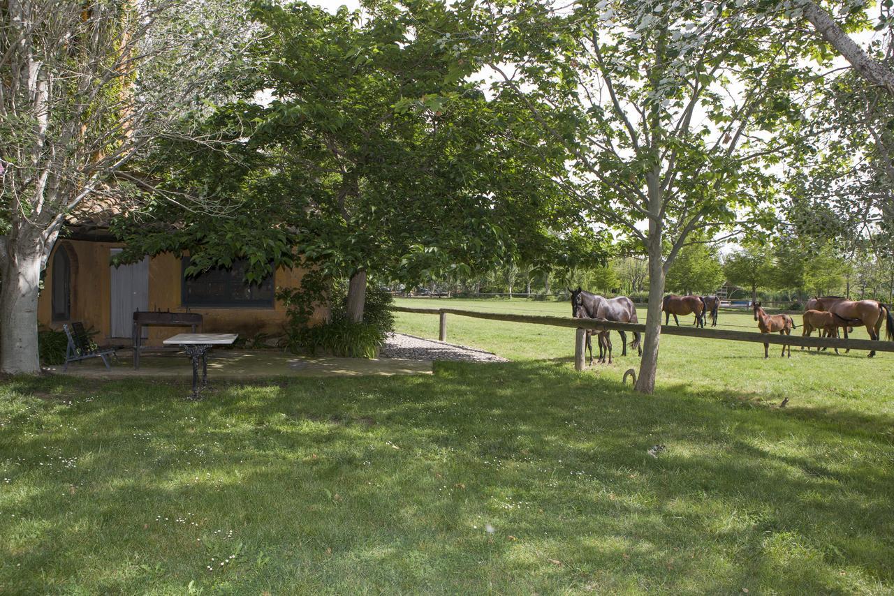 Holiday Home,265115369:JPEG